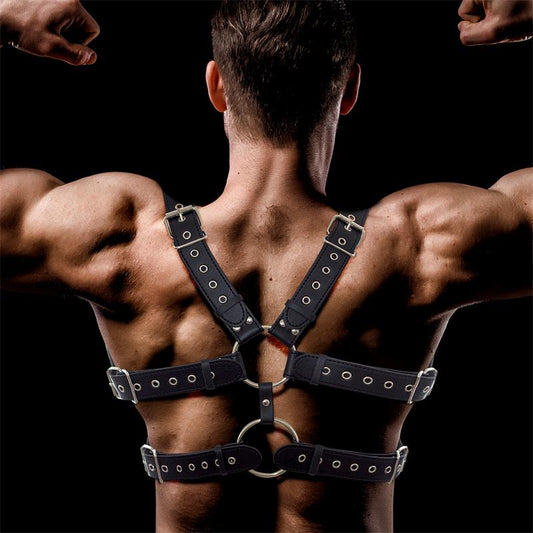 HARNESS AURUM
