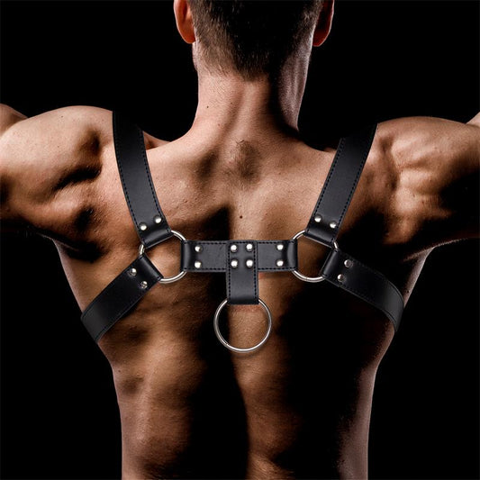 HARNESS DOMINE
